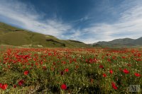 castelluccio 13 june 2013